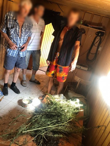 На территории Оренбургской области проведен 1 этап операции «Мак – 2023»