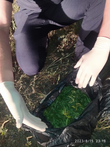 На территории Оренбургской области проведен 1 этап операции «Мак – 2023»