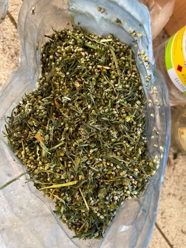 На территории Оренбургской области проведен 1 этап операции «Мак – 2023»