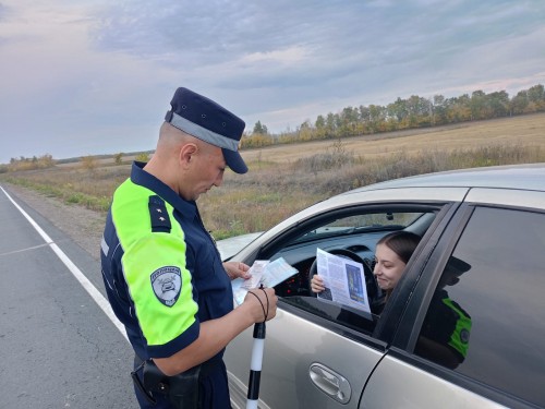 Сотрудники ОГИБДД ОМВД России по Саракташскому району провели акцию «Автокресло-детям»