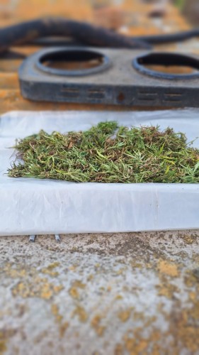 Полицейские Соль-Илецка выявили крупную партию наркотика у жителя Боевой Горы