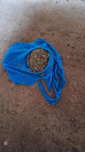 Полицейские Соль-Илецка выявили крупную партию наркотика у жителя Боевой Горы