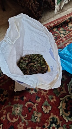 Полицейские Соль-Илецка выявили крупную партию наркотика у жителя Боевой Горы