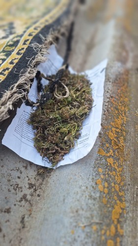 Полицейские Соль-Илецка выявили крупную партию наркотика у жителя Боевой Горы