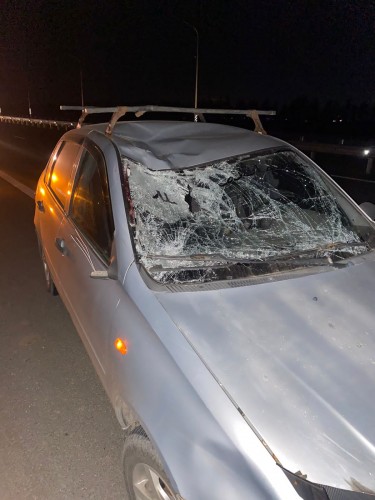 В Оренбурге сотрудники полиции устанавливают обстоятельства ДТП со смертельным исходом В Оренбурге сотрудники полиции устанавливают обстоятельства ДТП со смертельным исходом