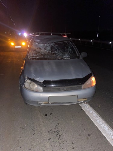 В Оренбурге сотрудники полиции устанавливают обстоятельства ДТП со смертельным исходом В Оренбурге сотрудники полиции устанавливают обстоятельства ДТП со смертельным исходом