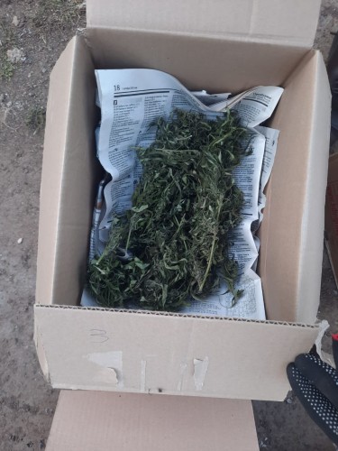 Более килограмма наркотического средства изъято сотрудниками отделения МВД России по Беляевскому району у местного жителя