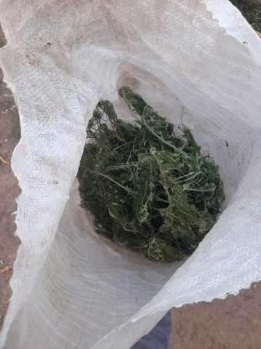 Более килограмма наркотического средства изъято сотрудниками отделения МВД России по Беляевскому району у местного жителя