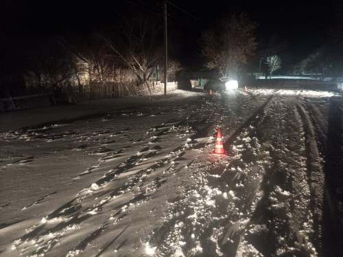 В Ясненском городском округе водитель погиб от столкновения с деревом 