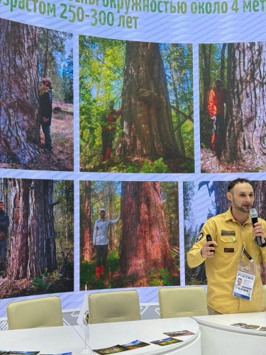 Посетители международной выставки-форума «Россия» открыли для себя «Бузулуский бор» Посетители международной выставки-форума «Россия» открыли для себя «Бузулуский бор»