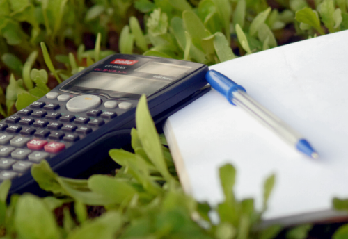 Роскадастр напомнил оренбуржцам, как установить границы земельного участка 