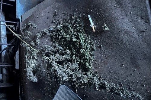 В Бугурусланском районе полицейские изъяли у 34-летнего местного жителя наркотическое средство