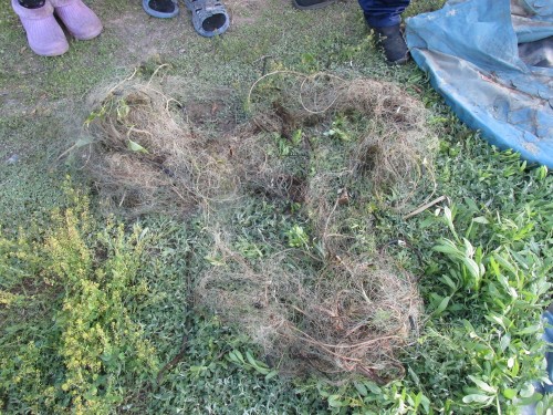 В Домбаровском районе полицейский задержал браконьера, незаконно рыбачившего на реке Орь В Домбаровском районе полицейский задержал браконьера, незаконно рыбачившего на реке Орь