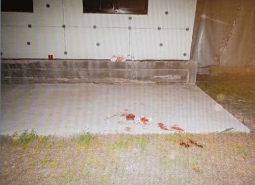 В Ташле полицейские задержали злоумышленника, избившего знакомую деревянной скалкой. В Ташле полицейские задержали злоумышленника, избившего знакомую деревянной скалкой.