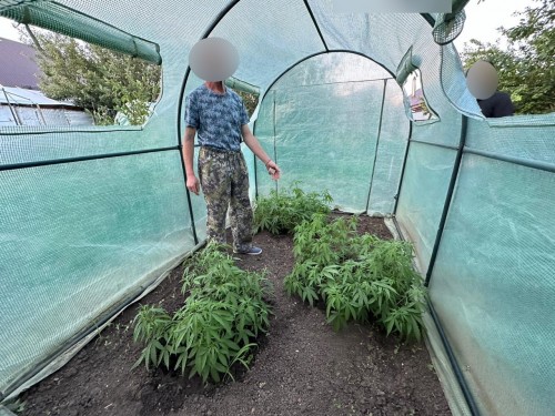 Оренбургские полицейские изъяли у местного жителя почти килограмм запрещенного вещества растительного происхождения Оренбургские полицейские изъяли у местного жителя почти килограмм запрещенного вещества растительного происхождения