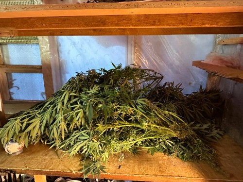 Оренбургские полицейские изъяли у местного жителя почти килограмм запрещенного вещества растительного происхождения Оренбургские полицейские изъяли у местного жителя почти килограмм запрещенного вещества растительного происхождения