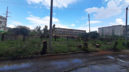 Полицейские в Орске проверяют законность вырубки деревьев Полицейские в Орске проверяют законность вырубки деревьев