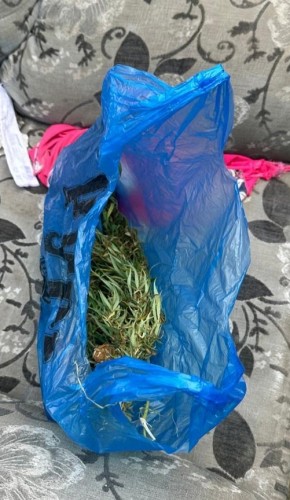 Полицейскими Первомайского района задержан подозреваемый по факту хранения наркотических веществ