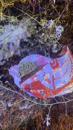 В Орске сотрудниками полиции у местного жителя обнаружен и изъят каннабис В Орске сотрудниками полиции у местного жителя обнаружен и изъят каннабис