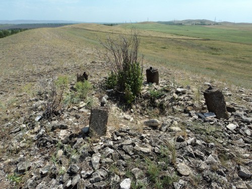 В 2024 году в Оренбуржье обследовано 820 пунктов государственных сетей