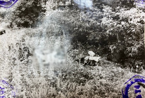 В Оренбурге раскрыто убийство, совершенное 26 лет назад В Оренбурге раскрыто убийство, совершенное 26 лет назад