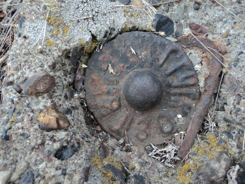 В 2025 году в Оренбургской области обследуют 428 пунктов ГГС