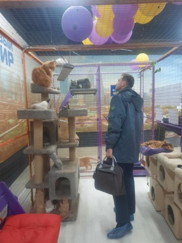 В Оренбурге обнаружили нелегальный передвижной зоопарк