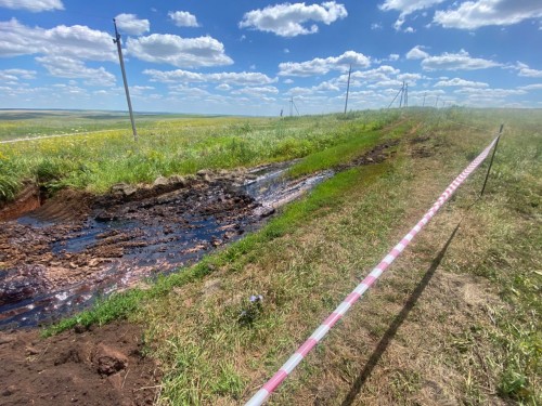 В Переволоцком районе обнаружили нефтяное загрязнение почвы