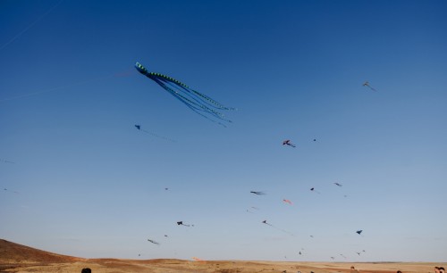 Степная симфония: «Ростелеком» провел в Оренбуржье музыкальный фестиваль