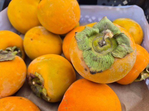 В Оренбуржье остановили почти 39 тонн хурмы из Узбекистана из-за опасного вредителя