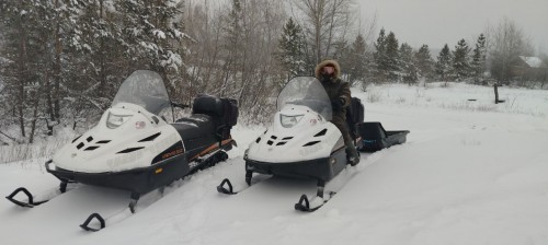 В Бузулукском бору напомнили о штрафах за вырубку ёлок