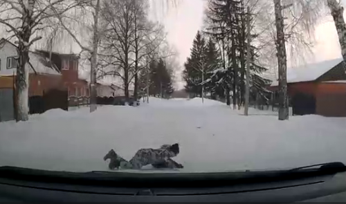 В Бугуруслане ребёнок поскользнулся и упал под автомобиль В Бугуруслане ребёнок поскользнулся и упал под автомобиль