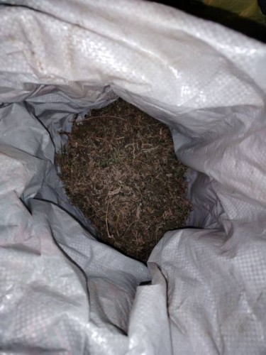 В Саракташе сотрудниками полиции у местного жителя обнаружена марихуана