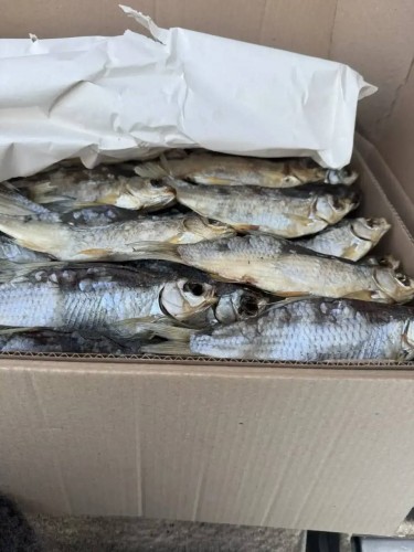 Россельхознадзор  в Оренбуржье предотвратил ввоз 17 тонн небезопасной рыбы из Казахстана