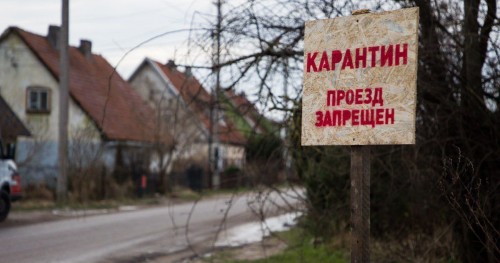 Карантин по бешенству ввели в Соль-Илецком округе и Саракташском районе