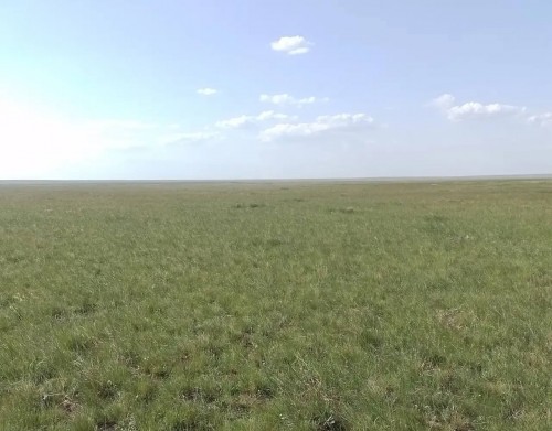 В Светлинском районе изъято более 16 тыс. га неиспользуемых сельхозземель 