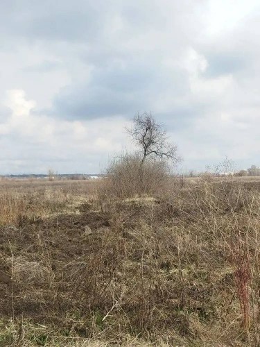 В Оренбурге местная жительница нашла гранату В Оренбурге местная жительница нашла гранату