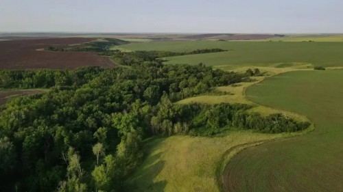 В Оренбуржцев предупредили о последствиях незаконной вырубки деревьев В Оренбуржцев предупредили о последствиях незаконной вырубки деревьев