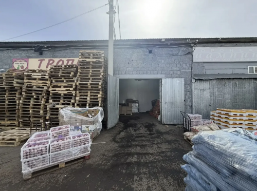 В Оренбуржье задержали мужчину стрелявшего в человека из травматического пистолета