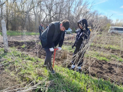 В Оренбургском лесничестве волонтеры посадили свыше пяти тысяч саженцев