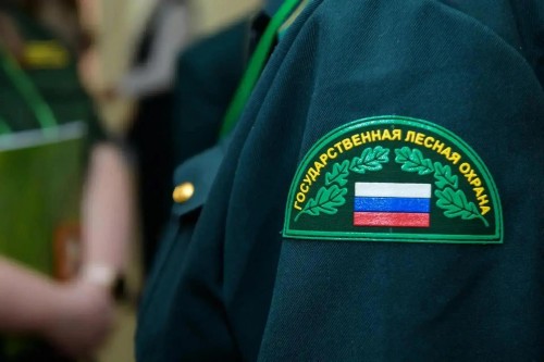 В лесном фонде Оренбуржья продолжает действовать пожароопасный сезон В лесном фонде Оренбуржья продолжает действовать пожароопасный сезон
