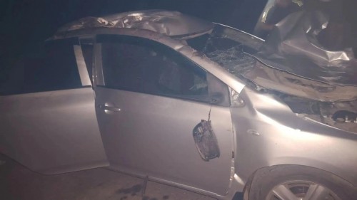 В Первомайском районе автоледи сбила лошадь В Первомайском районе автоледи сбила лошадь