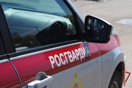В Оренбургской области сотрудники Росгвардии за июль выезжали более 200 раз по сигналу тревога В Оренбургской области сотрудники Росгвардии за июль выезжали более 200 раз по сигналу тревога