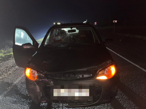 В Красногвардейском районе пешеход без светоотражателей погиб под колёсами «Лады Калины» В Красногвардейском районе пешеход без светоотражателей погиб под колёсами «Лады Калины»
