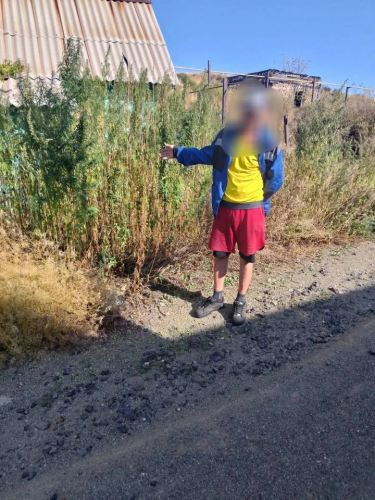 В Медногорске полицейские изъяли у местного жителя крупную партию марихуаны В Медногорске полицейские изъяли у местного жителя крупную партию марихуаны