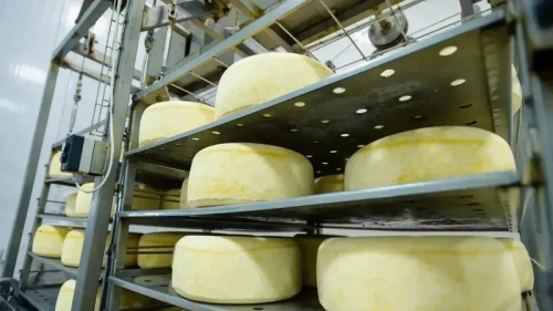 Экспорт агропродукции Оренбуржья демонстрирует устойчивый рост Экспорт агропродукции Оренбуржья демонстрирует устойчивый рост