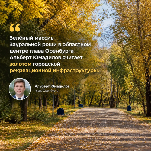 Зауральная роща: преображение и зимние планы Зауральная роща: преображение и зимние планы