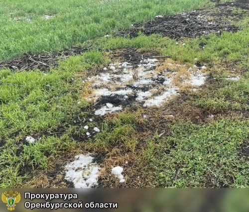 Прокуратура требует взыскать 300 тыс. рублей за загрязнение земельного участка Прокуратура требует взыскать 300 тыс. рублей за загрязнение земельного участка